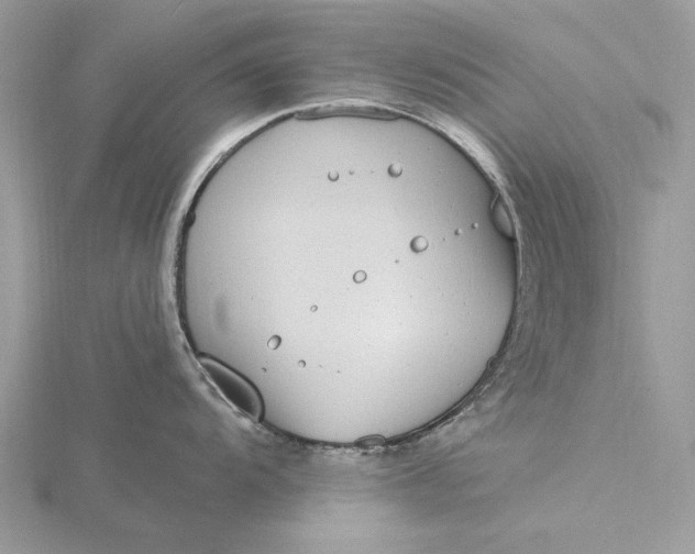 X0000116151104200912071258