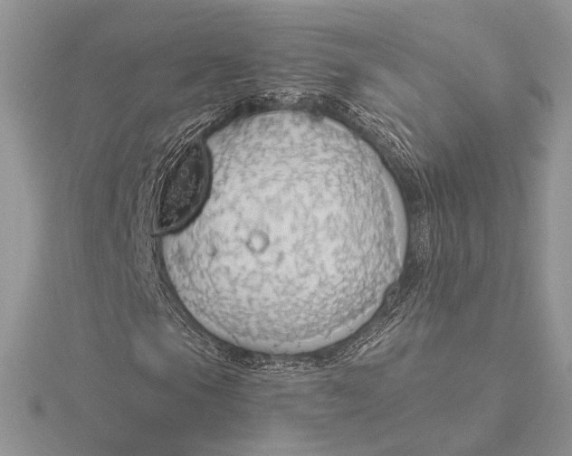 X0000116151105200912071257