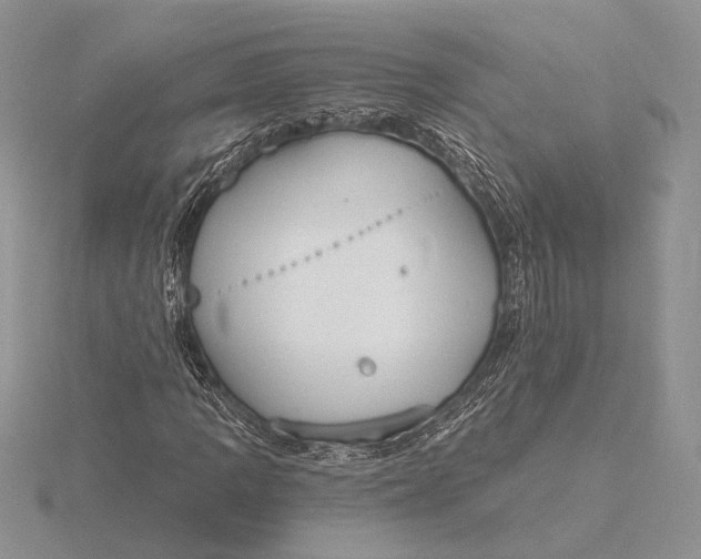 X0000116151109200912071258