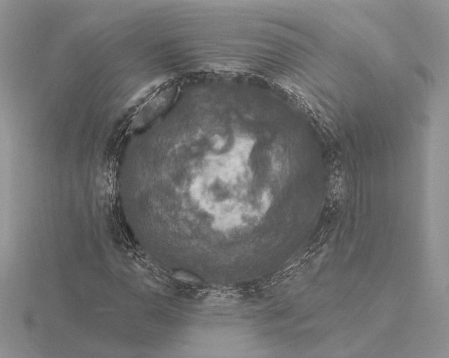 X0000116151110200912071258