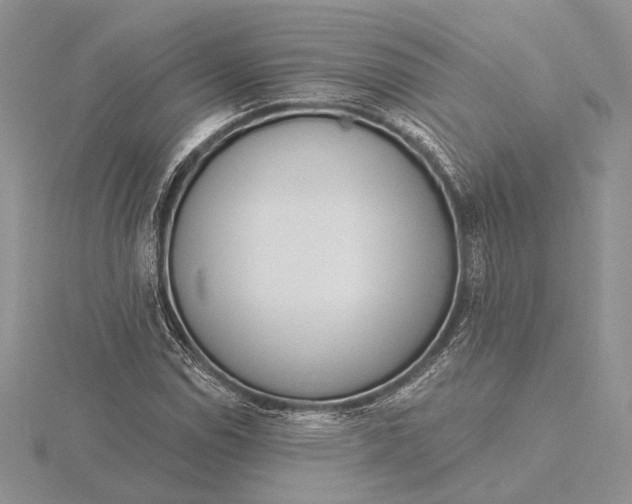 X0000116151114200912071258