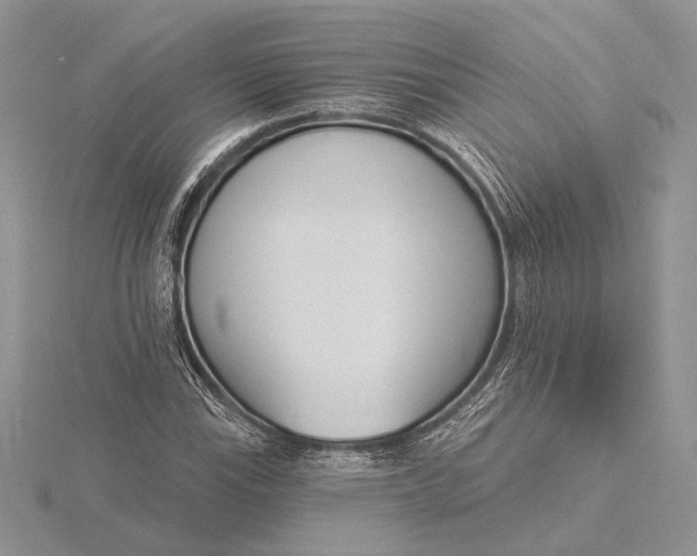 X0000116151115200912071258