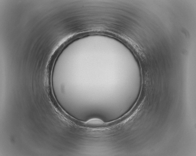 X0000116151118200912071258