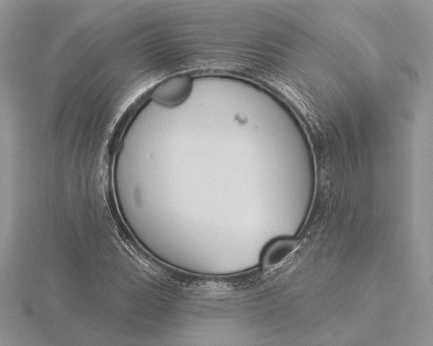 X0000116151119200912071258