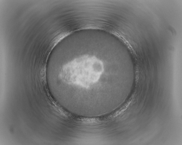 X0000116151121200912071258