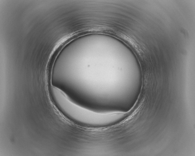 X0000116151122200912071258