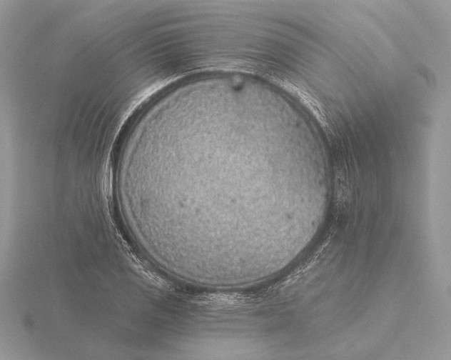 X0000116151125200912071258