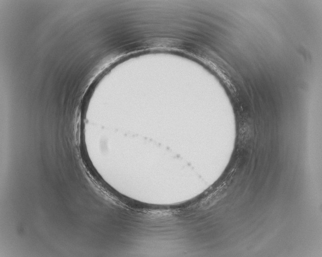 X0000116151126200912071258