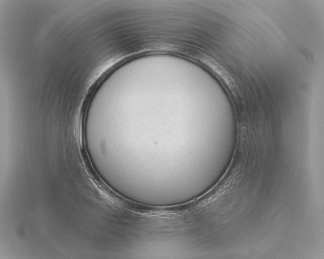 X0000116151127200912071258