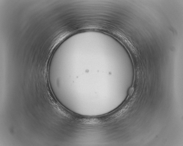 X0000116151129200912071258