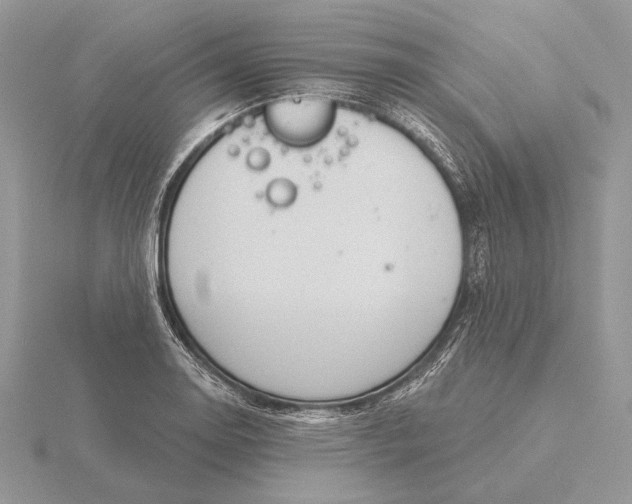 X0000116151130200912071258