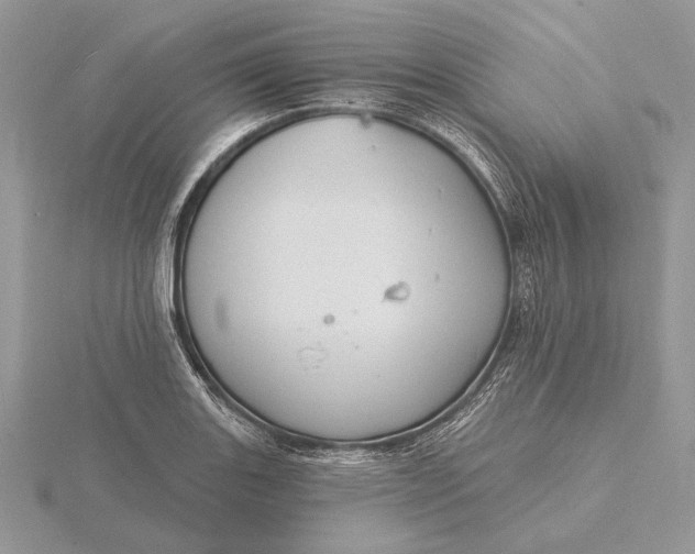 X0000116151131200912071258