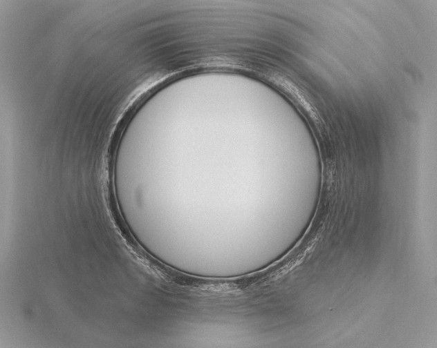 X0000116151133200912071258