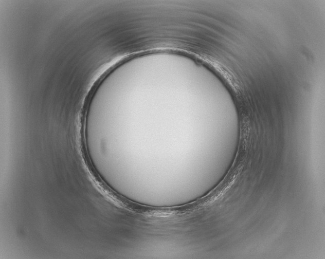 X0000116151134200912071258