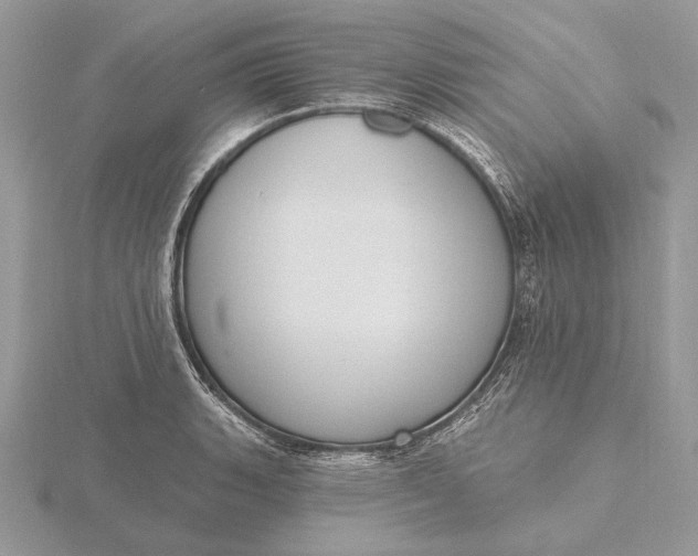 X0000116151135200912071258