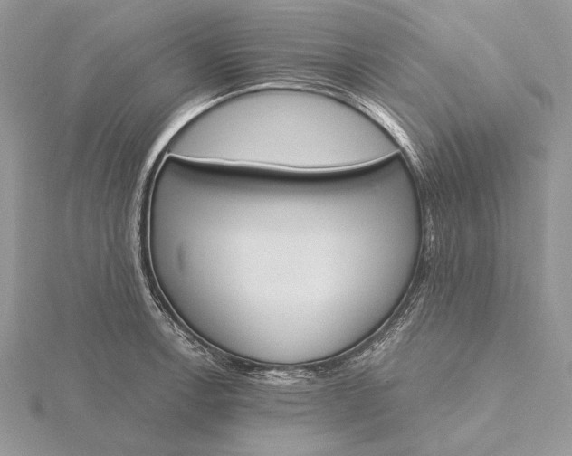 X0000116151138200912071258