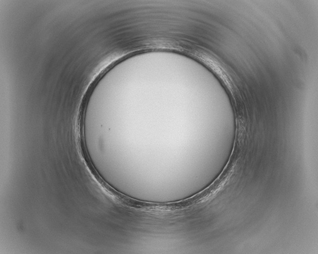 X0000116151141200912071258