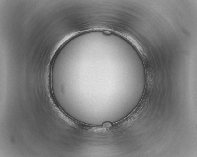 X0000116151142200912071258