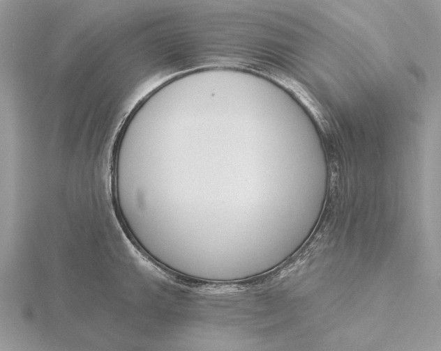 X0000116151143200912071258