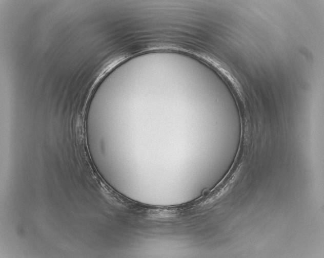 X0000116151145200912071258