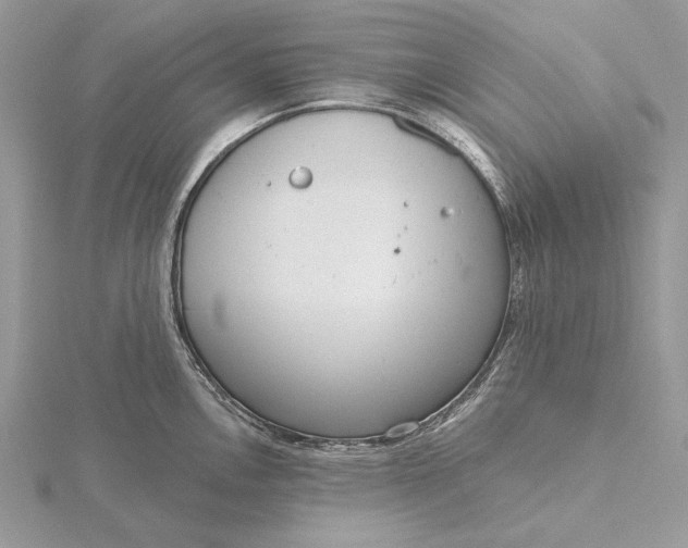 X0000116151146200912071258