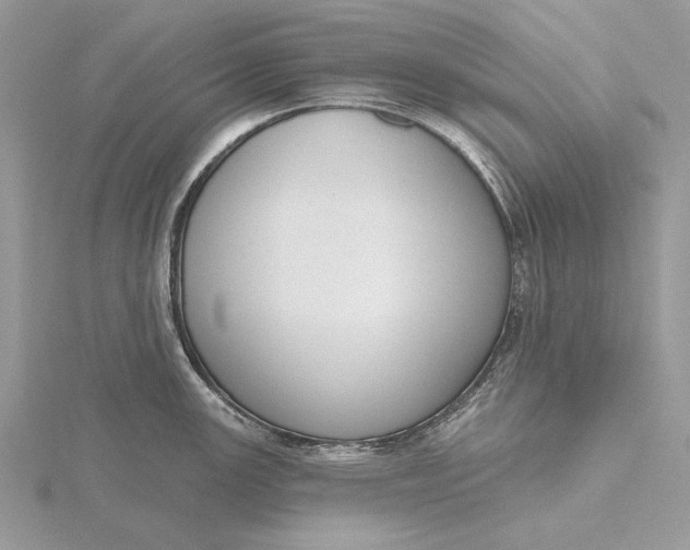 X0000116151147200912071258