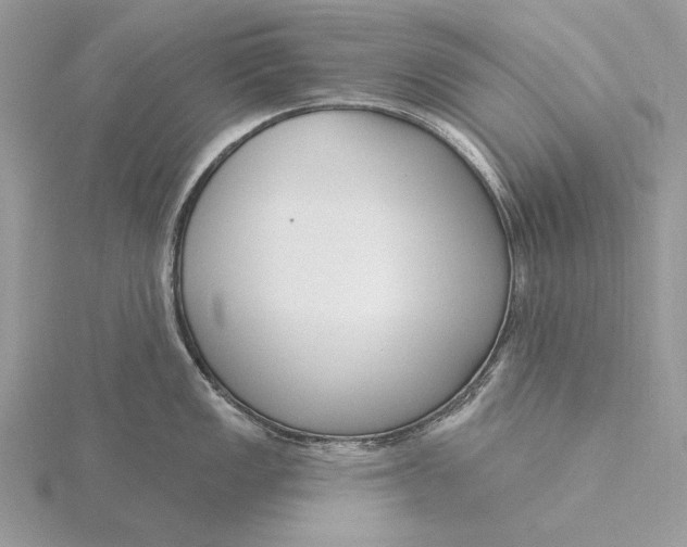 X0000116151149200912071258