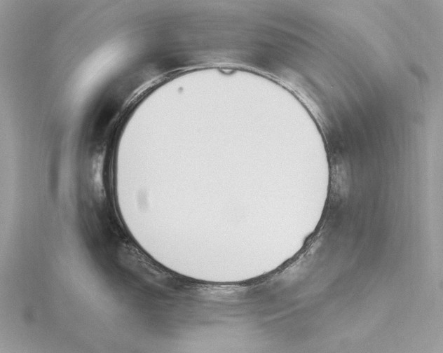 X0000116151150200912071258