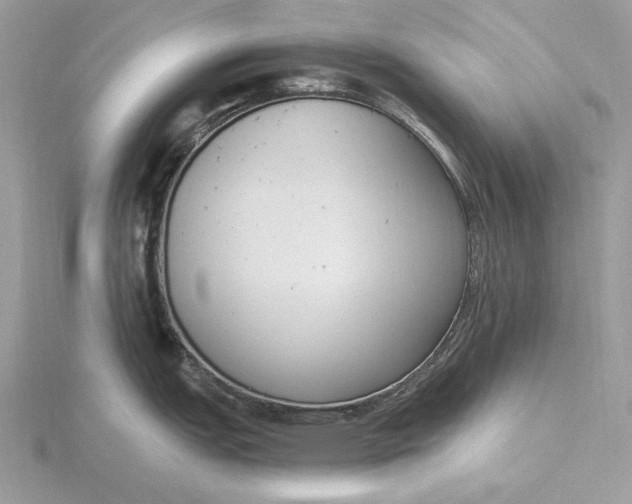 X0000116151151200912071258