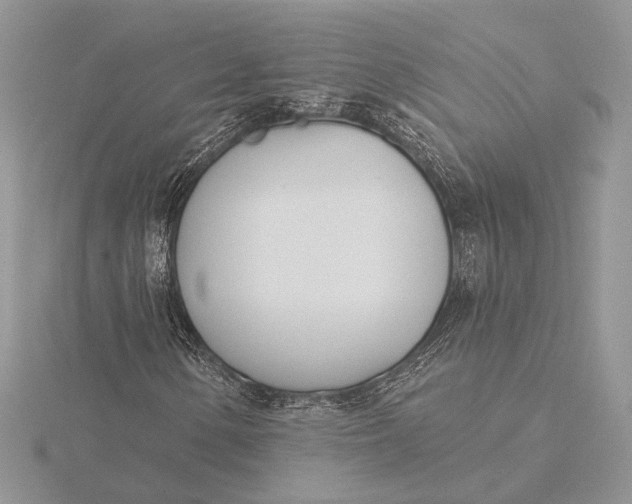 X0000116151154200912071257