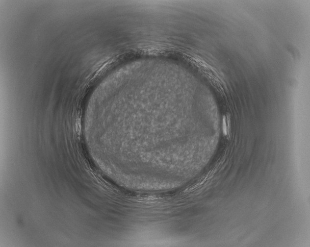 X0000116151155200912071257