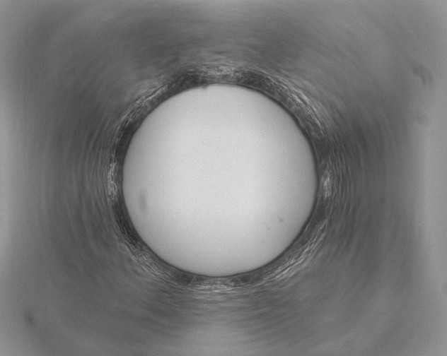 X0000116151156200912071257