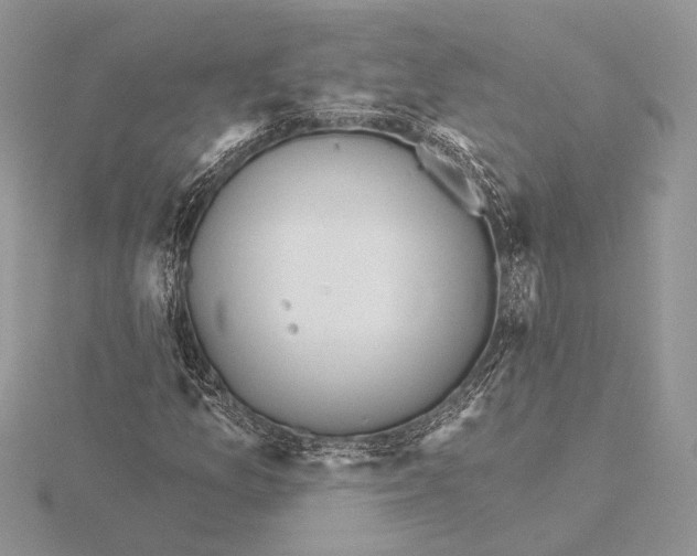 X0000116151157200912071257