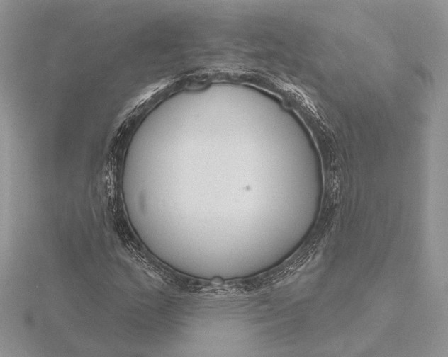 X0000116151159200912071257