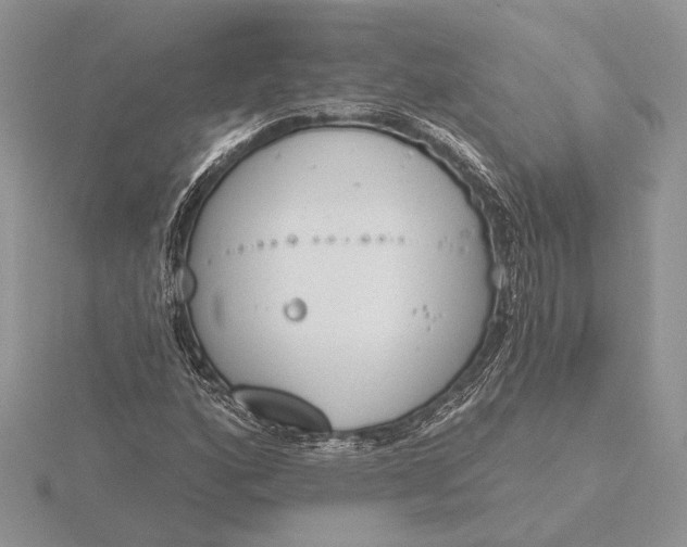 X0000116151160200912071257