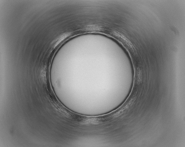 X0000116151162200912071257