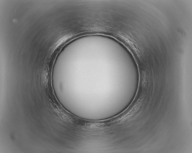 X0000116151163200912071257