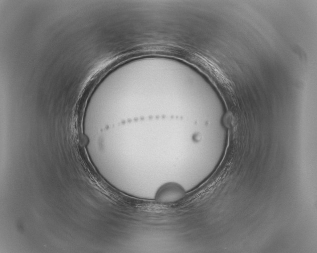 X0000116151164200912071257