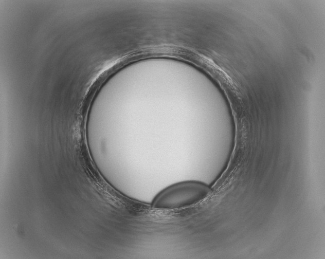 X0000116151166200912071257