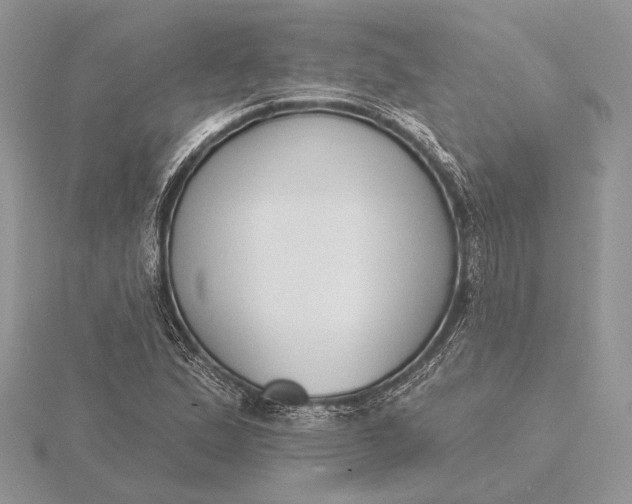 X0000116151167200912071257