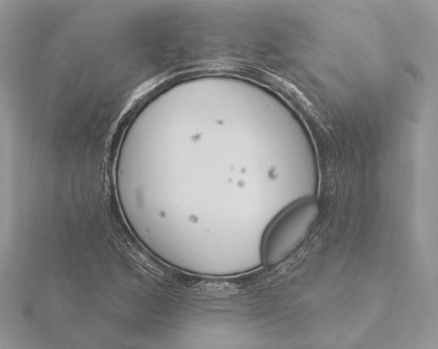 X0000116151168200912071257