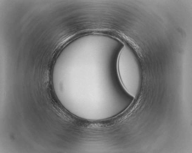 X0000116151169200912071257