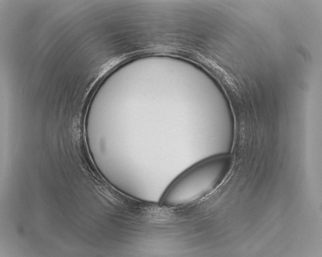 X0000116151170200912071257