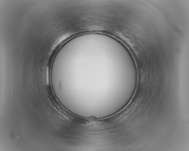 X0000116151171200912071257