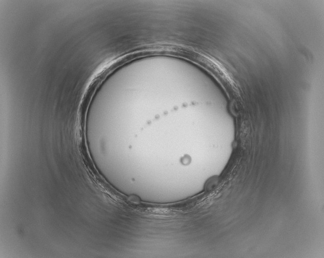 X0000116151172200912071257