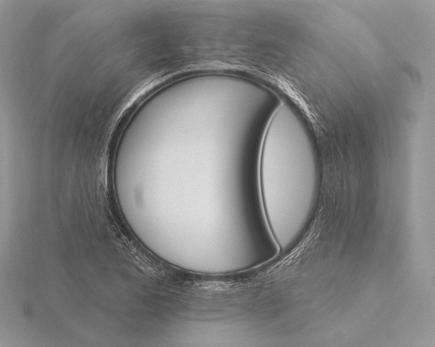 X0000116151173200912071257