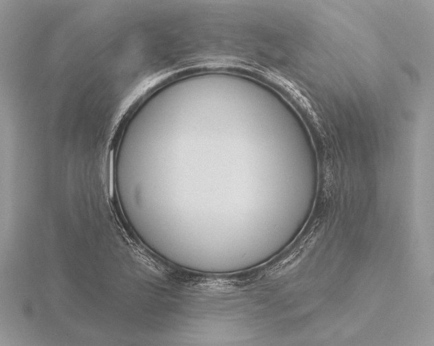 X0000116151175200912071257