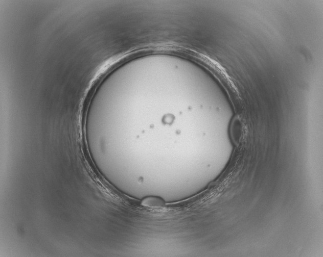 X0000116151176200912071257