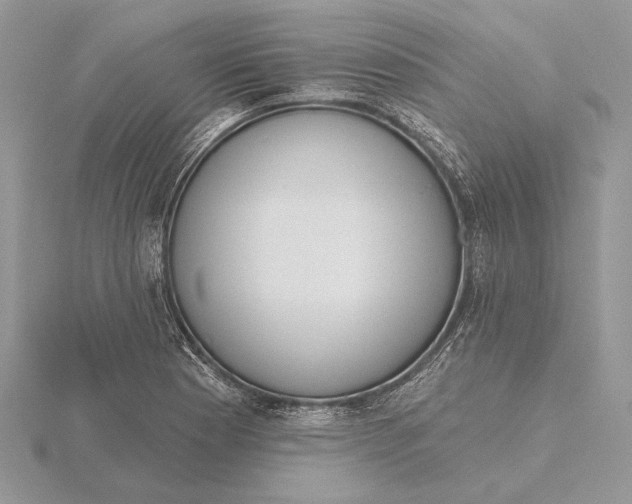 X0000116151177200912071257