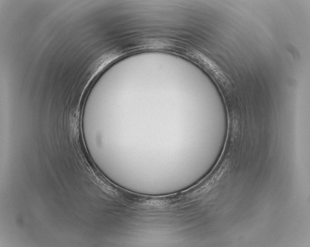 X0000116151178200912071257